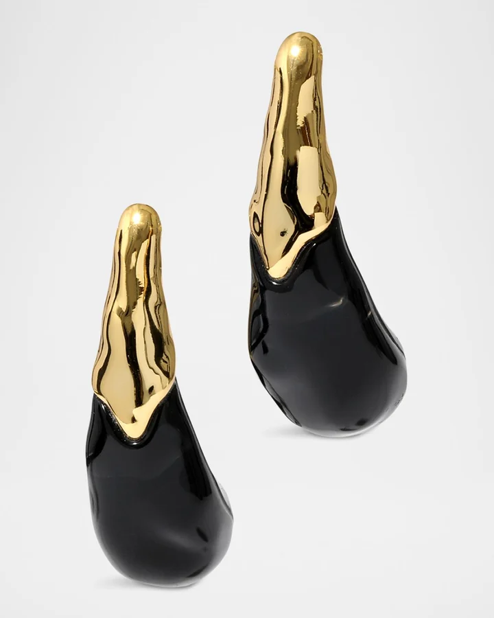 Liquid Lucite Arched Large Post Earrings