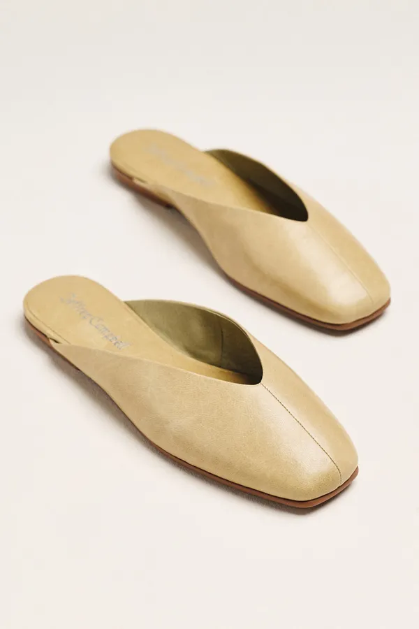 Advocate Mules