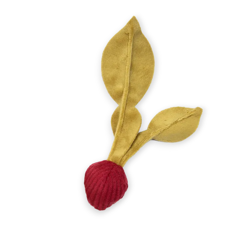 Radish