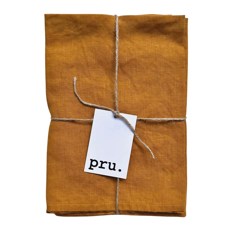 100% Linen Napkins, Spice (Set of 2)