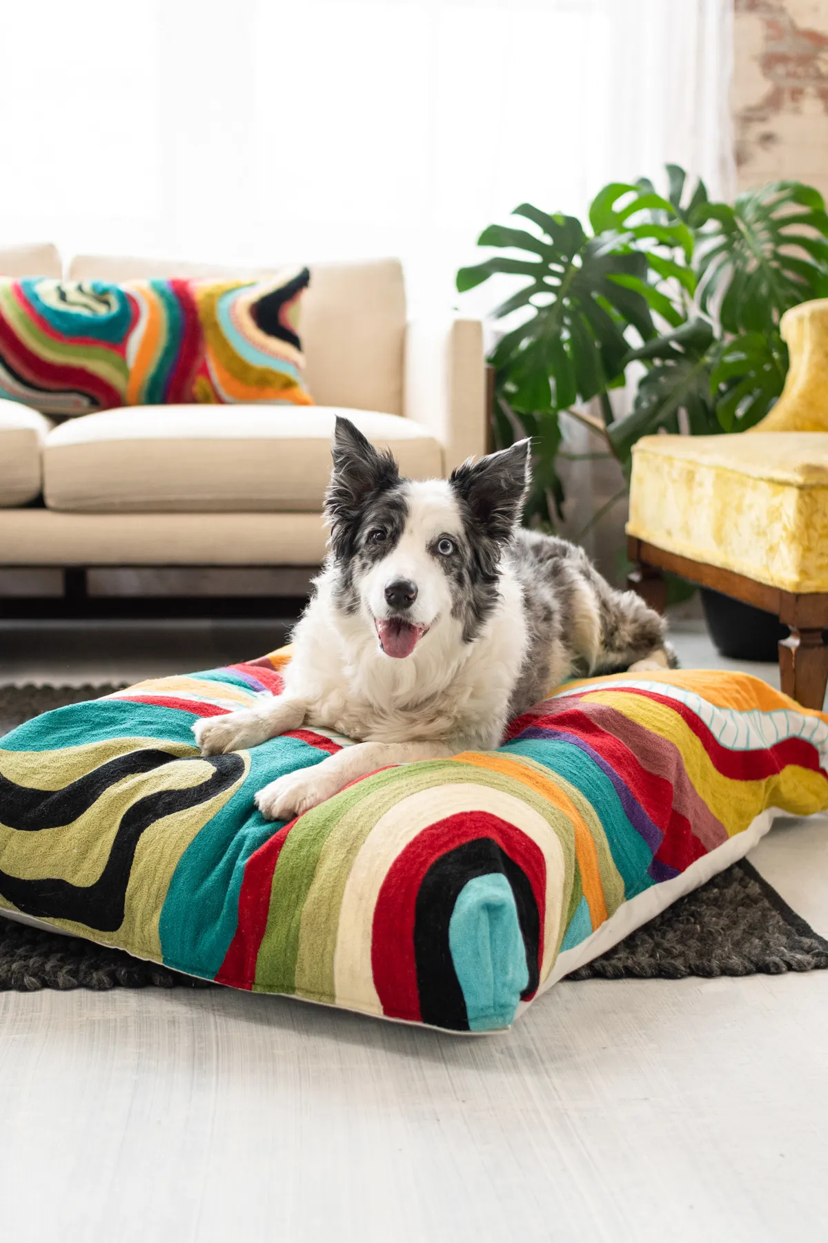 Echo Organic Cotton Abstract Dog Bed