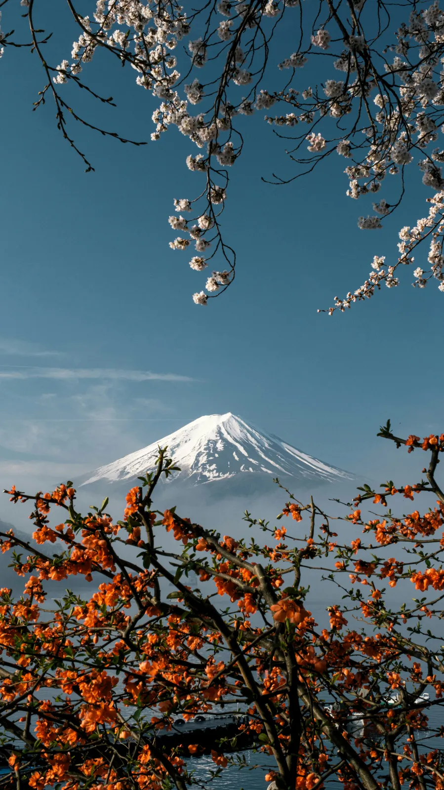 Japan.