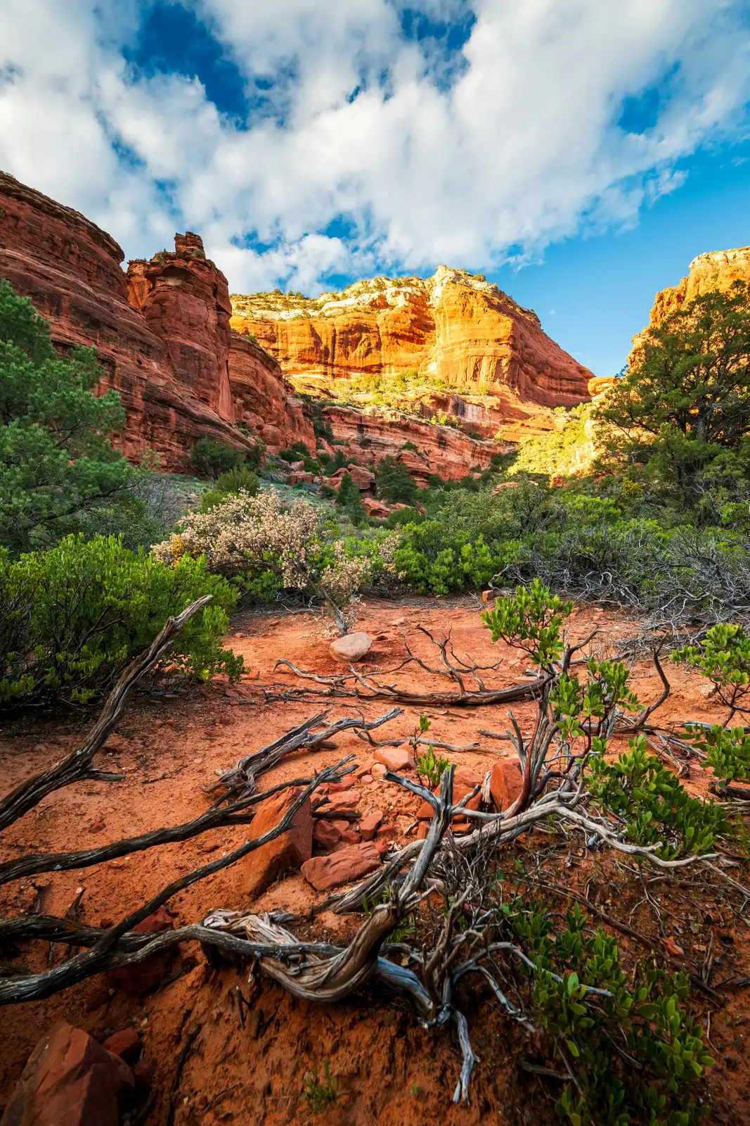 Sedona.